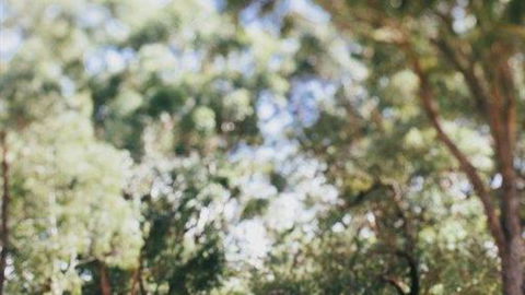 The Cottage At Bolobek - Hotel Accommodation 5