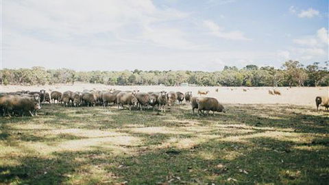 The Cottage At Bolobek - Hotel Accommodation 6