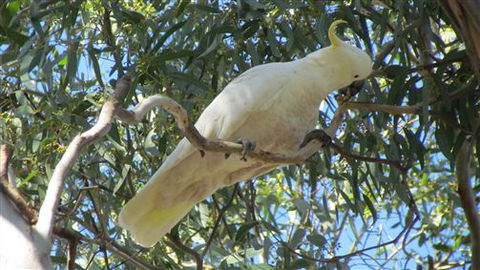 River Gardens Bed And Breakfast Farmstay - Hotel Accommodation 1