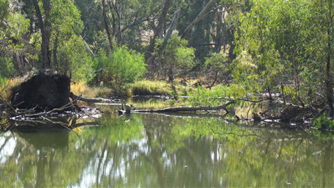 River Gardens Bed And Breakfast Farmstay - Hotel Accommodation 2