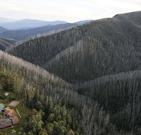 YMCA Howmans Gap Alpine Centre - Hotel Accommodation