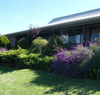 Boomers Guest House Hamilton - Hotel Accommodation