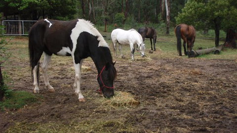 Buller Basecamp Retreat - Hotel Accommodation 4