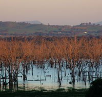 Salisbury - Hotel Accommodation