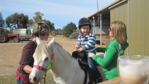 Cabarita Lodge - Hotel Accommodation 2