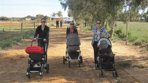 Cabarita Lodge - Hotel Accommodation 3