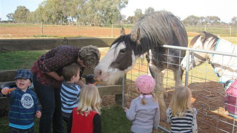 Cabarita Lodge - Hotel Accommodation 4