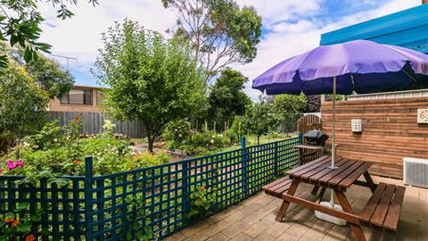 Beachside Accommodation Torquay - Hotel Accommodation 2