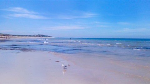 Beachside Accommodation Torquay - Hotel Accommodation 4
