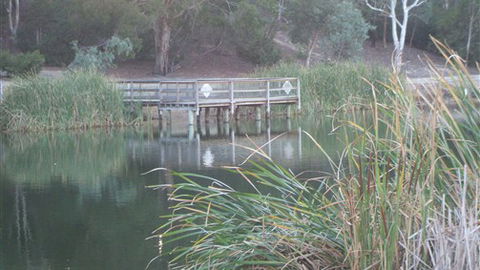 Mallard House Ballarat - Hotel Accommodation 5
