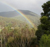 Wattletree Cottage - Hotel Accommodation