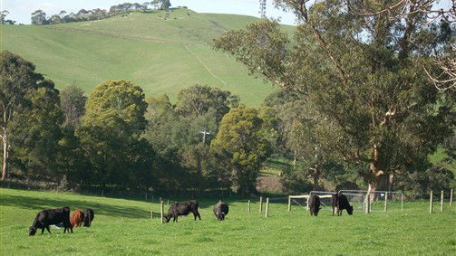 Korumburra South VIC Hotel Accommodation