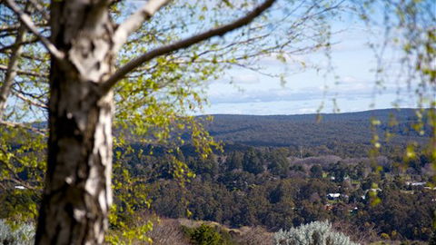Hilltop Cottage - Daylesford - Hotel Accommodation 5
