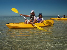 Ceduna Shelly Beach Caravan Park And Beachfront Villas - Hotel Accommodation 2