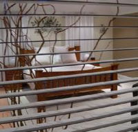 One Tree Bed and Breakfast - Hotel Accommodation