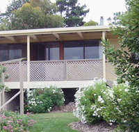 The Shelter