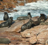 Yondah Beach House - Hotel Accommodation