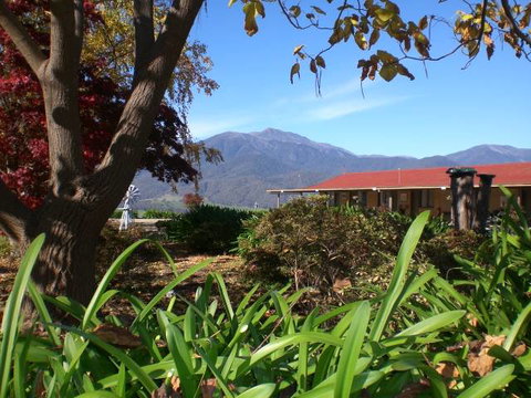 Allamar Motor Inn - Hotel Accommodation 3