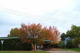 Condobolin NSW Hotel Accommodation