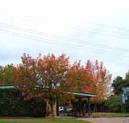 Allambie Motel Pty Ltd - Hotel Accommodation