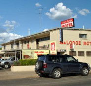 A  A Lodge Motel - Hotel Accommodation