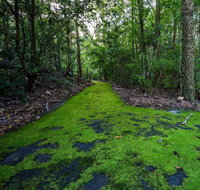 Booderee National Park Green Patch Camping Area - Hotel Accommodation