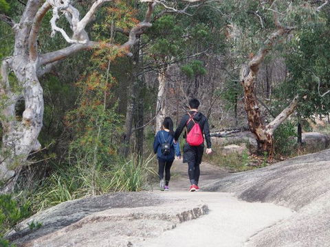 Girraween National Park Camping Ground - Hotel Accommodation 2