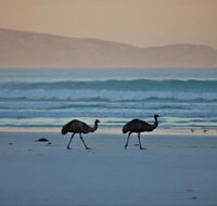 Thomas River Shire Reserve Camp at Cape Arid National Park - Hotel Accommodation