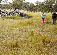 Carnarvon National Park camping - Hotel Accommodation