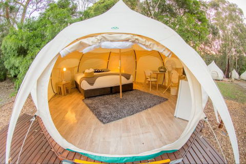 Yarra Valley Park Lane Glamping Belle Tents - Hotel Accommodation 8