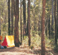 Nanga Mill Camp at Lane Poole Reserve - Hotel Accommodation