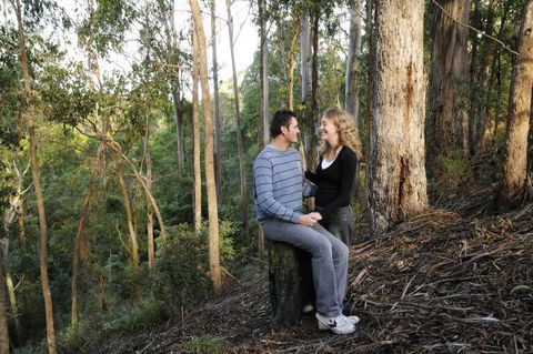 Goldsmith's In The Forest - Hotel Accommodation 3