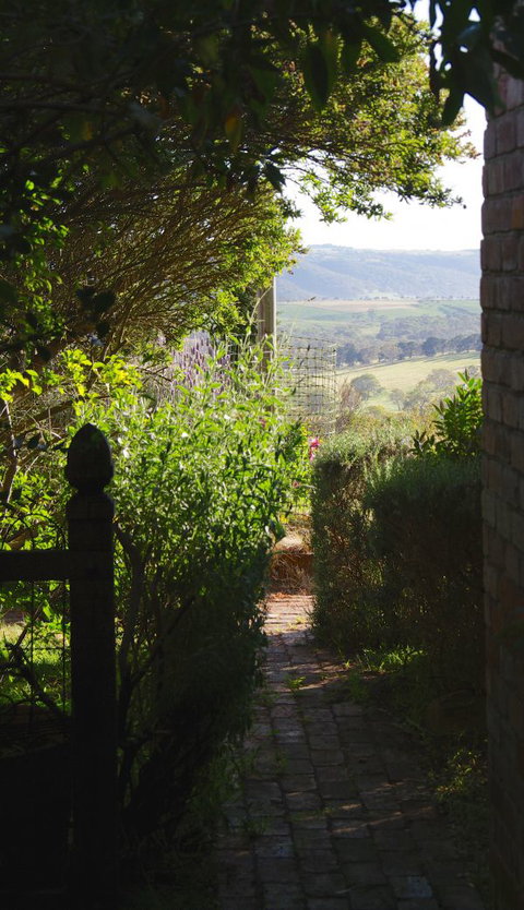 Pear Tree Hollow - Hotel Accommodation 7