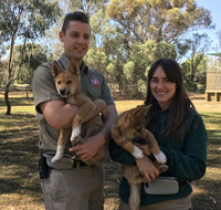 Kyabram Fauna Park - Hotel Accommodation