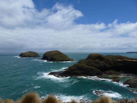 Arties Cottage Accommodation - Hotel Accommodation 9