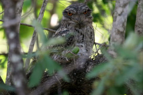 Bush Oasis Caravan Park - Hotel Accommodation 7