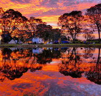 Coonawarra Bush Holiday Park - Hotel Accommodation