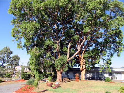 Highlander Haven Motel - Hotel Accommodation 3