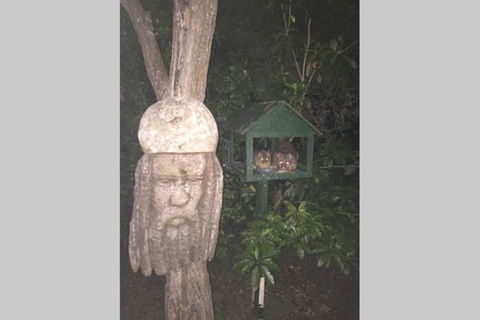 Kookaburra Retreat - Hotel Accommodation 9