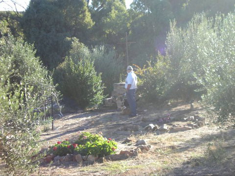 Olive Grove Retreat - Hotel Accommodation 5