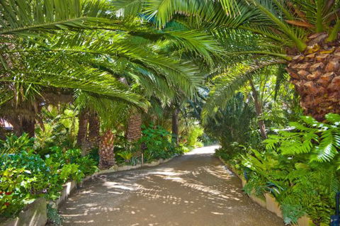 Seacove On The Beach - Hotel Accommodation 4