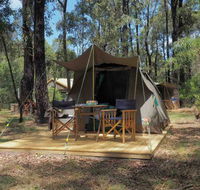 Tall Trees Camping on the Great Ocean Road - Hotel Accommodation