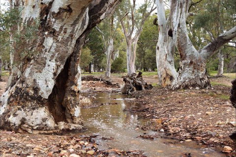 Upalinna Station - Hotel Accommodation 2