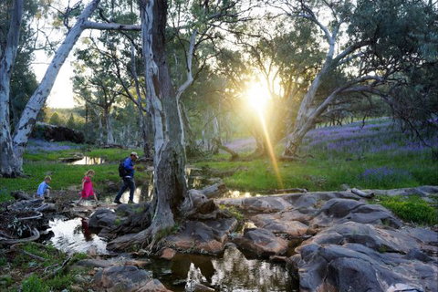 Upalinna Station - Hotel Accommodation 3
