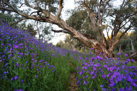 Upalinna Station - Hotel Accommodation 4