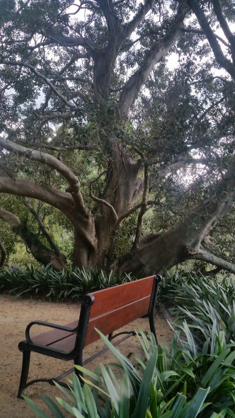 Plynlimmon The Cottage At Kurrajong - Hotel Accommodation 19