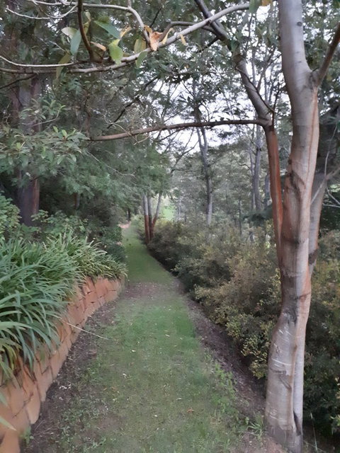 Plynlimmon The Cottage At Kurrajong - Hotel Accommodation 22