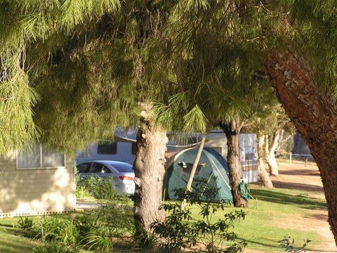Barmera North Lake Caravan Park - Hotel Accommodation 0