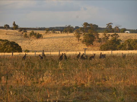 Bunjil Farm - Hotel Accommodation 8