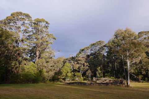 Fernhill Chestnut Farm - Hotel Accommodation 2